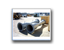 Plants: image 1 0f 4 thumb